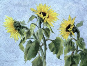 Girassóis, 1996 (pastel)
